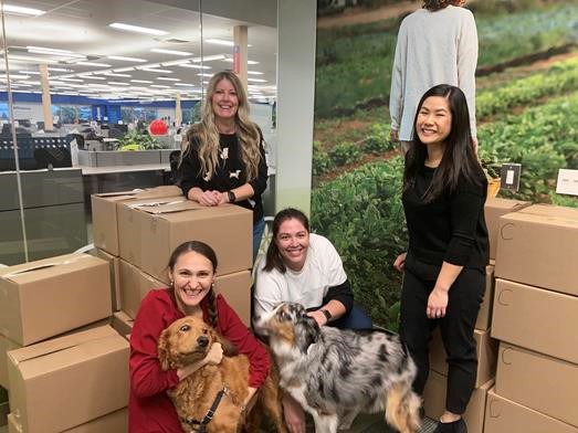 four women pose amid a pile of moving boxes